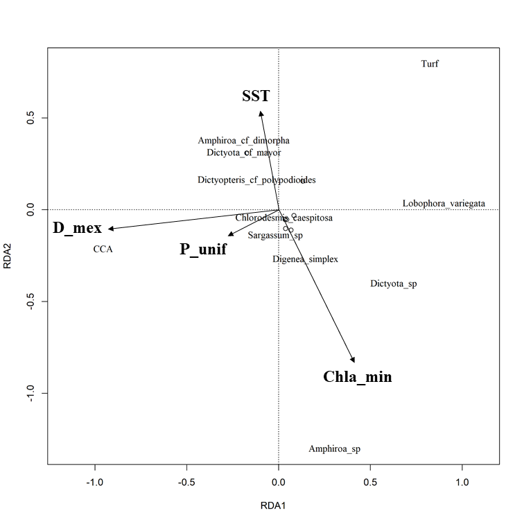 RDA analysis of Macroalgae taxa