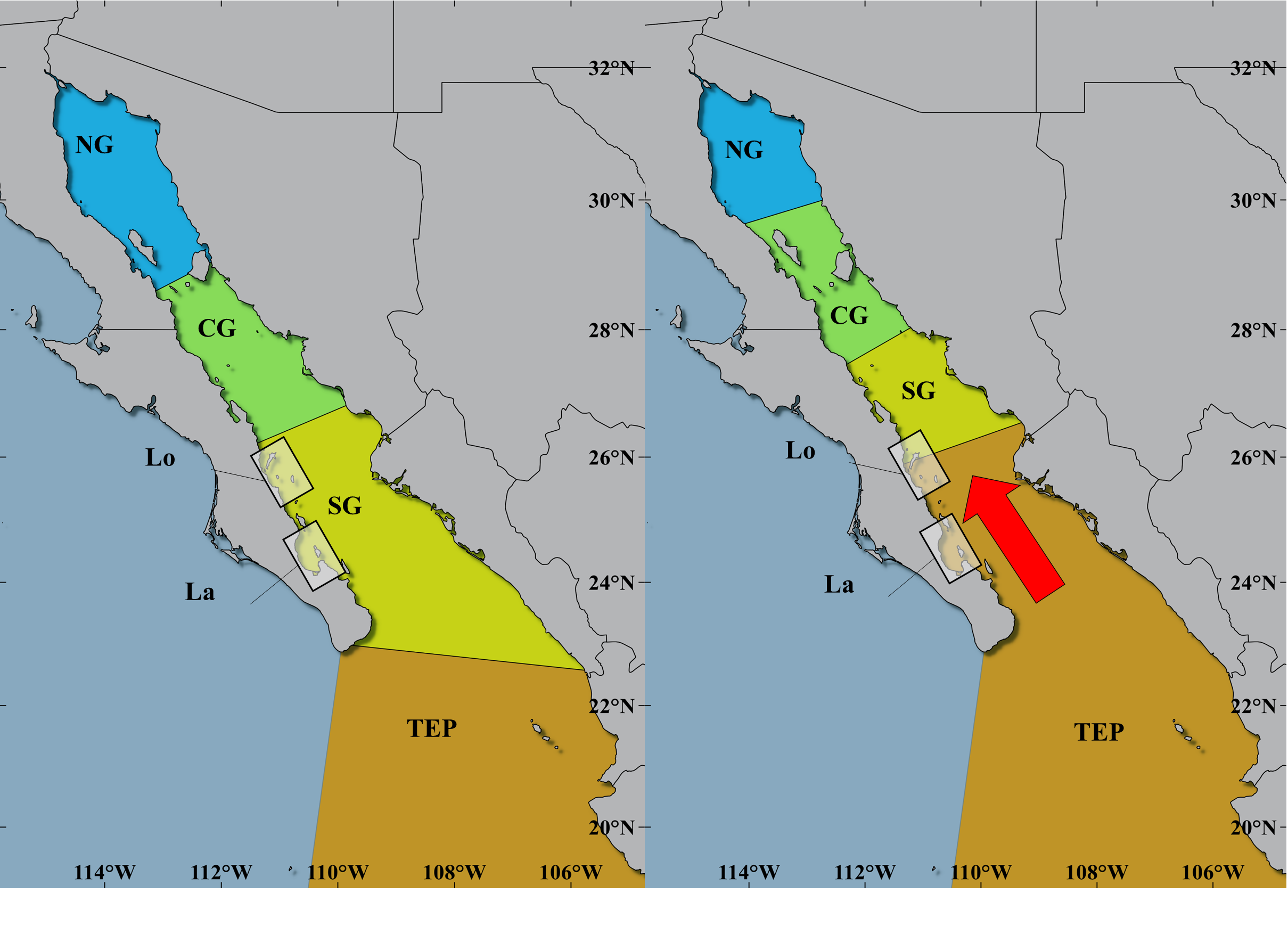 Tropicalization in the Gulf of California